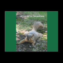 HELLO FROM OKLAHOMA postcards by tina312 HELLO FROM OKLAHOMA postcards