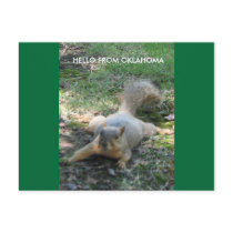 HELLO FROM OKLAHOMA postcards