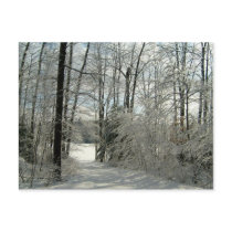 Hello From Pa-Winter Trail Design postcards