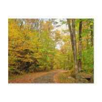 Hello From Pennsylvania Postcard-Fall Scene postcards