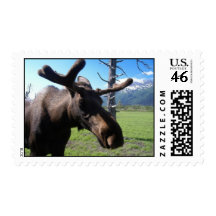 Hello From Portage, Alaska Postage Stamps