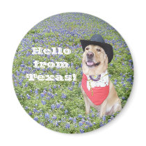 Hello from Texas! magnets