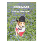 Hello from Texas! Post Card