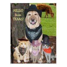 Hello from Texas! Postcard