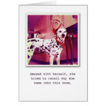 Hello! cards