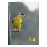 Hello Greeting Cards