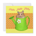 Hello hello hamster custom announcements
