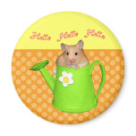 Hello hello hamster