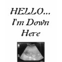 HELLO...I'm Down Here t-shirts by tanninggirl HELLO...I'm Down Here t-shirts