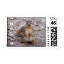 Hello I'm Here! postage