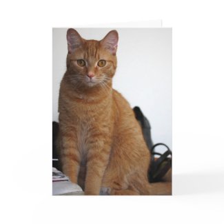 Hello Kitty card