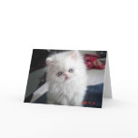 HELLO KITTY! cards