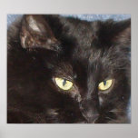 Hello Kitty Oil Painting Poster