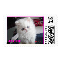 HELLO! KITTY postage