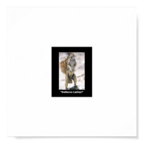 Hello Ladies Squirrel Balls Poster posters