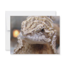 Hello Lizard invitations