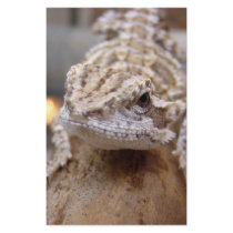 Hello Lizard stationery