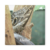 Hello! magnets by codfishlady Hello! magnets