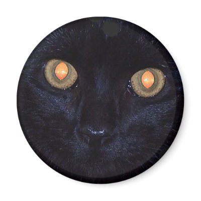 Hello Fridge Magnets by REDINARD