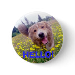 HELLO! - Marly Button