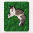 Hello, mouse! mousepads