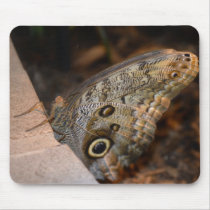 Hello! Mousepads