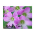 Hello my friend........ postcards by JustAGal Hello my friend........ postcards