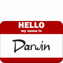 Hello My Name Is Darwin (Red) t-shirts by Name_Gear Hello My Name Is Darwin (Red) t-shirts