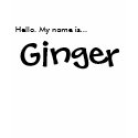 Hello. My name is... Ginger t-shirts