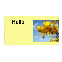 Hello Name tags stickers labels Blue Sky Events