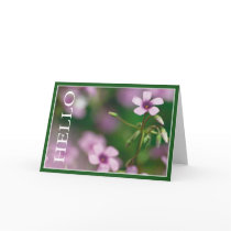 Hello - Pink Wood Sorrel Greeting Card