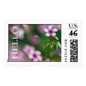 Hello - Pink Wood Sorrel Postage Stamp