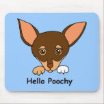 icon, hello kitty, hello poochy, dog, chihuahua,