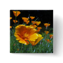 Hello Poppies Buttons by wingedturtle Hello Poppies Buttons