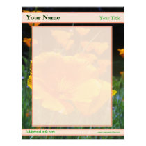 Hello Poppies Custom Letterhead