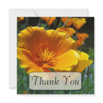 Hello Poppies Thank You Cards Invitations