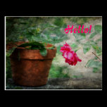 Hello! postcards