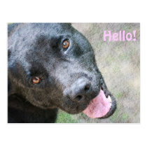 Hello! Post Cards