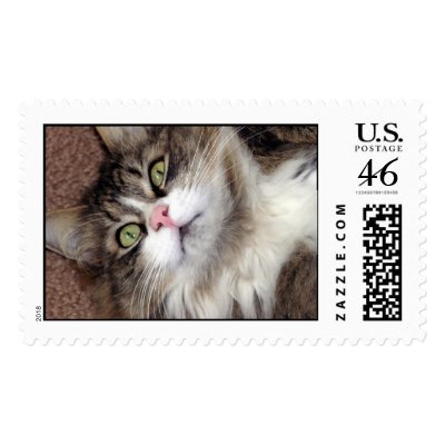 HELLO STAMP by MOMKAY