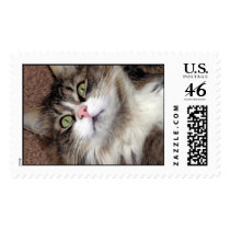 HELLO STAMP