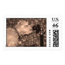 Hello postage by Jrcphoto Hello postage