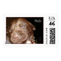  Hello postage