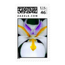 Hello_Postage postage