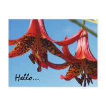 Hello... Postcard