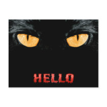hello postcards