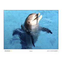 Hello ! posters by photographs Hello ! posters