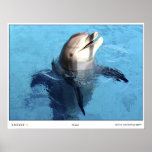 Hello ! print