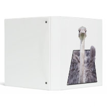 Hello Rhea binders by Webitect Hello Rhea binders