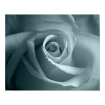 Hello Rose posters