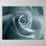 Hello Rose posters